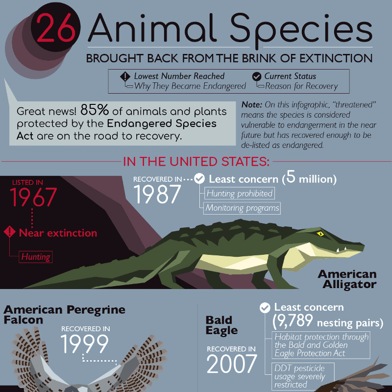 26-animal-species-brought-back-from-brink-extinction-7_thumb