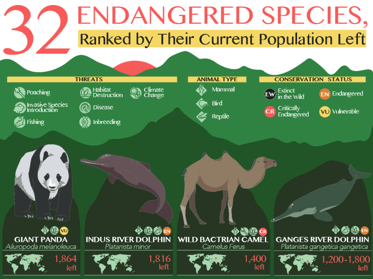 32-endangered-species-ranked-by-population-left-5_thumb