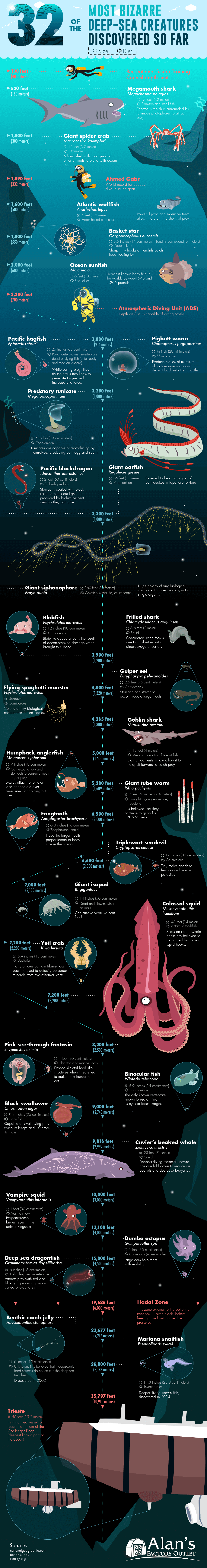 32-most-bizarre-deep-sea-creatures-discovered-so-far-7.png