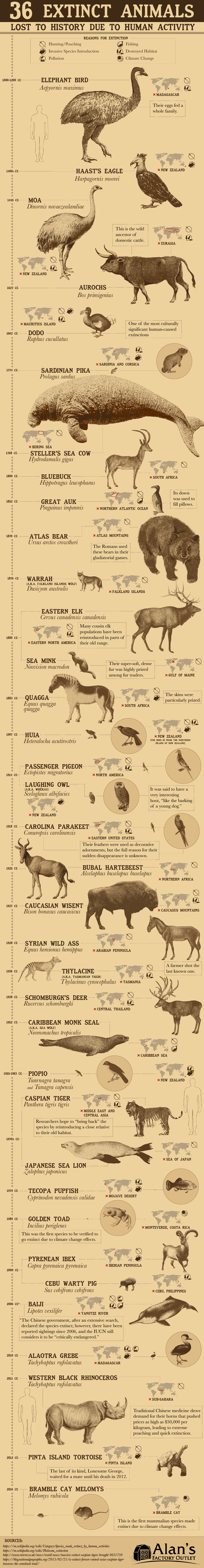 36-extinct-animals-lost-to-history-due-to-human-activity-5.png