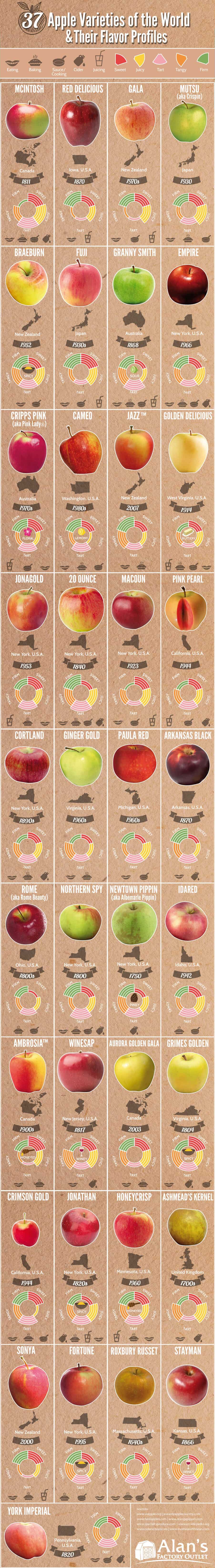 37-apple-varieites-around-the-world.jpg