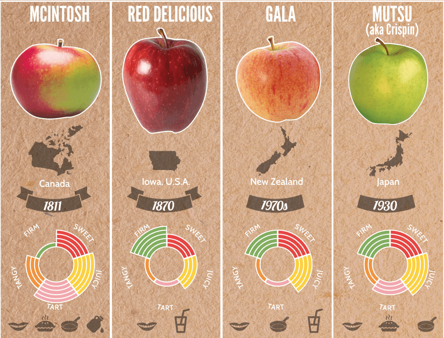 37-apple-varieities-around-the-world_thumb.png