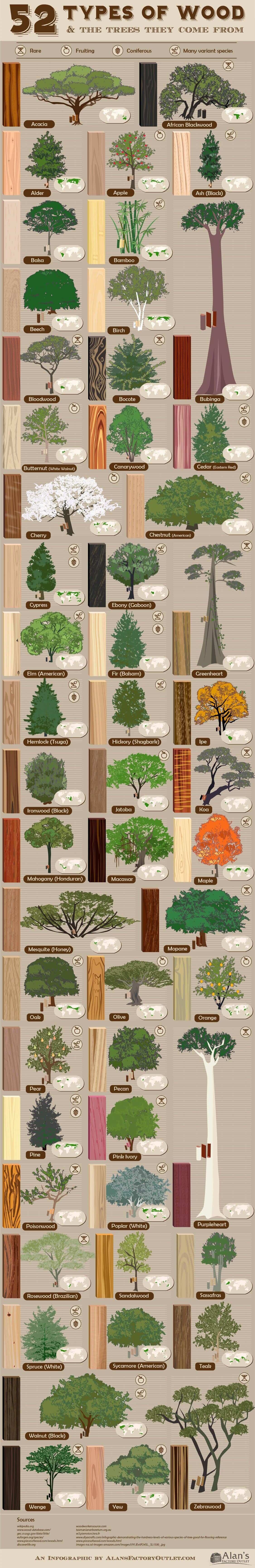 Types Of Trees