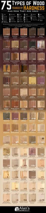 75 Types Of Wood Ranked By Janka Hardness And How They Are Used 2024 