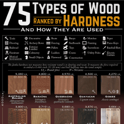 75 Types of Wood Ranked by Janka Hardness and How They Are Used
