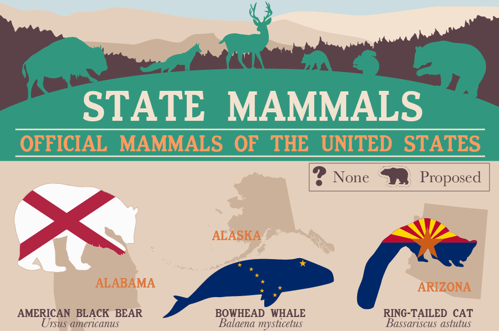 State-MammalsTHUMBNAIL.png