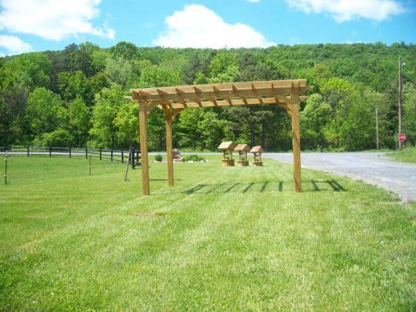 getting-lawn-ready-for-spring-with-a-pergola.jpg