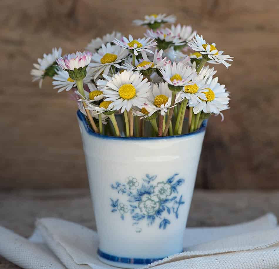 8 Tricks To Keep Cut Flowers Looking Fresher For Longer Alan's