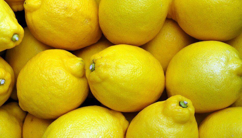 How To Remove Mold and Mildew From Around The Home Alan's Factory Outlet