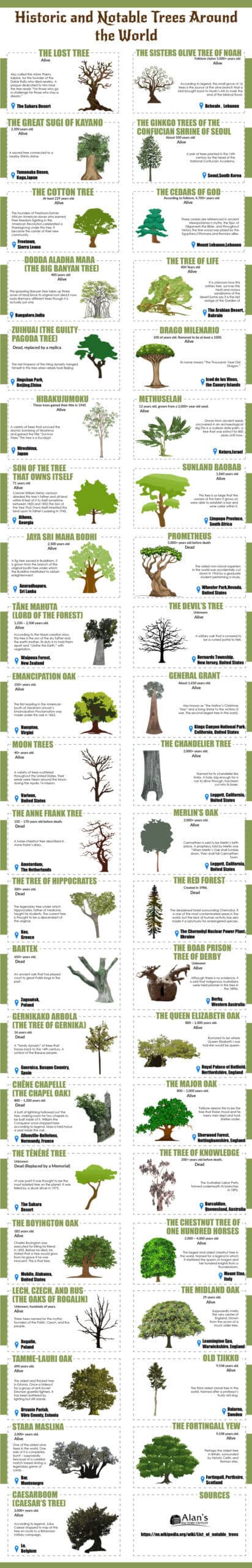 Historic and Notable Trees Around the World
