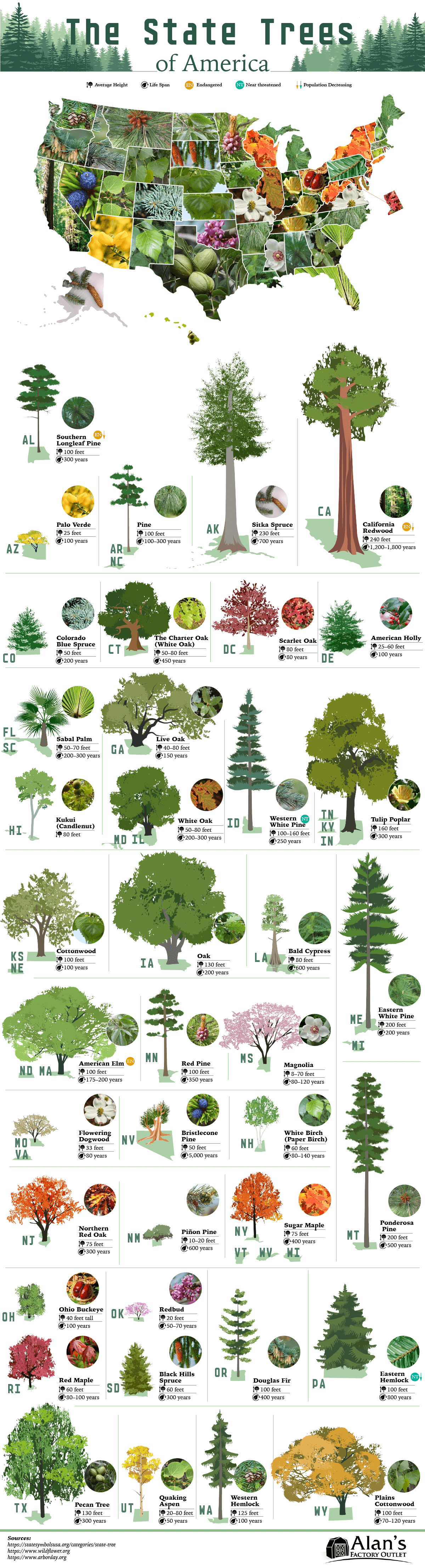 The State Trees of America