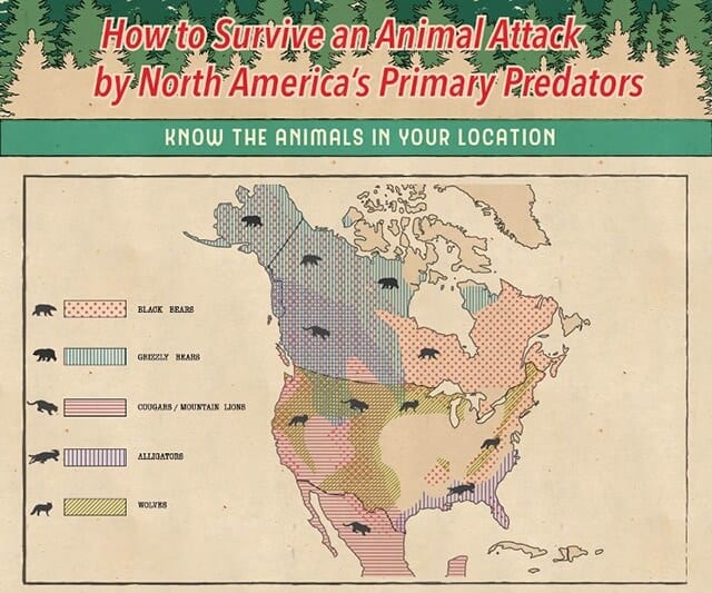 surviving-animal-attacks-north-america-.jpg