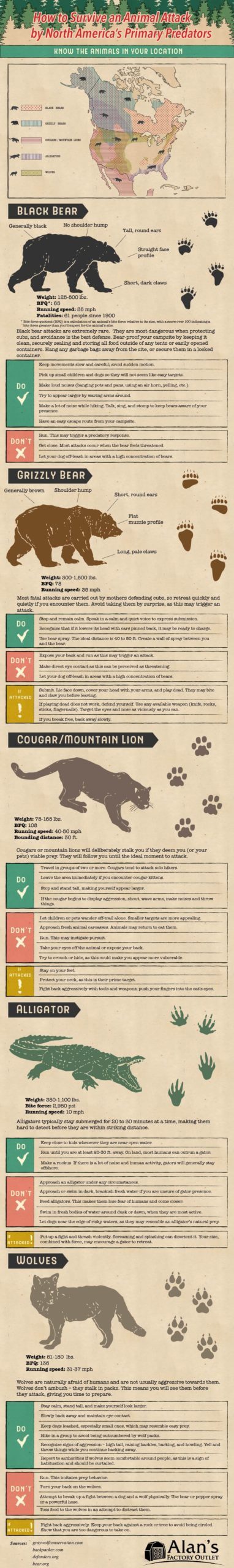 How to Survive an Animal Attack by North America’s Primary Predators
