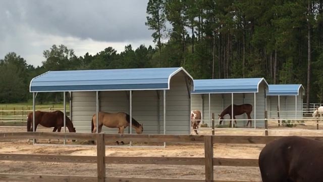 One-sided horse run-in shed