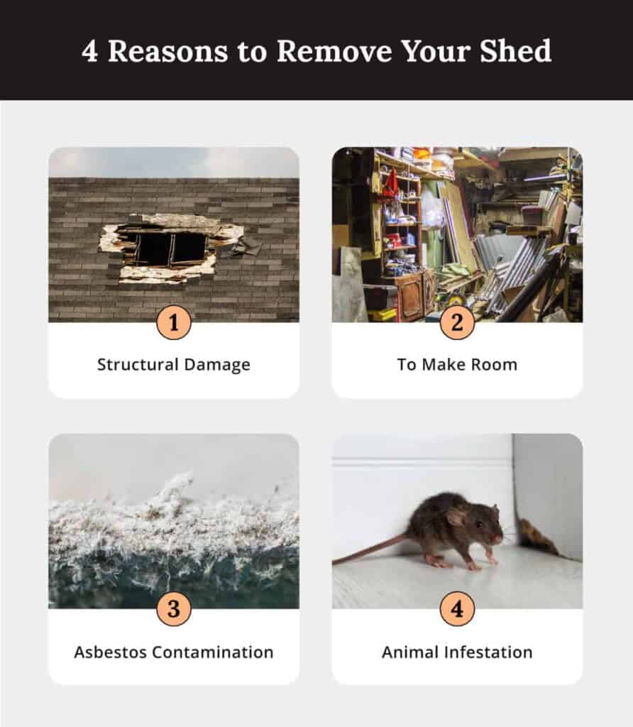 4 reasons to remove your shed