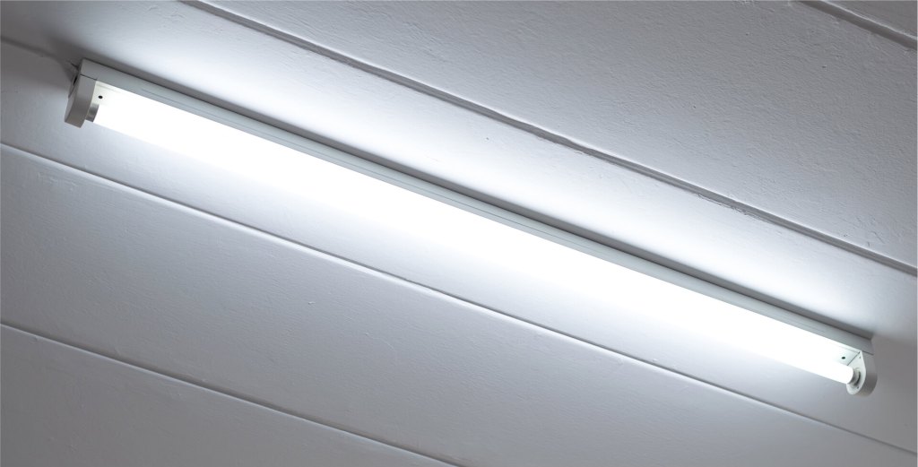 Fluorescent tube light on ceiling