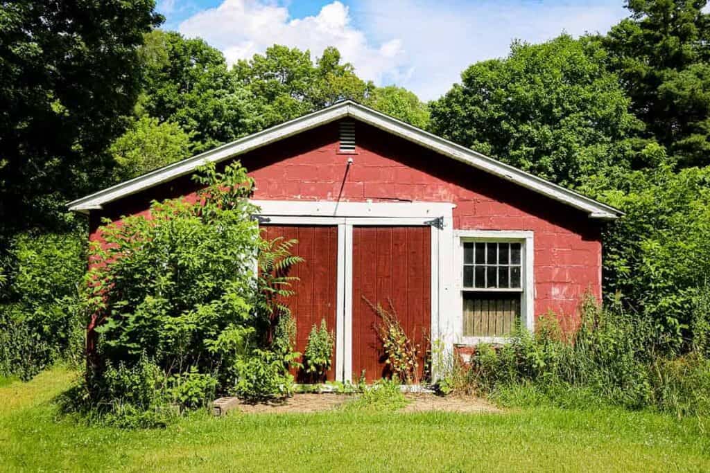 old red shed behind bushes