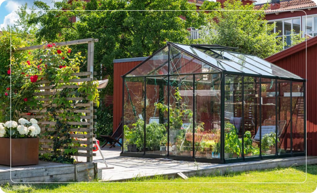 backyard greenhouse with plants