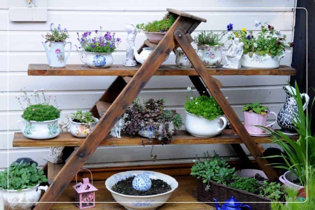 ladder used to organize potted plants