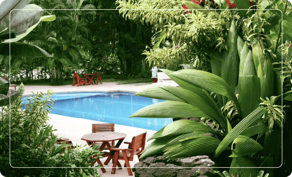 tropical landscaping around backyard pool