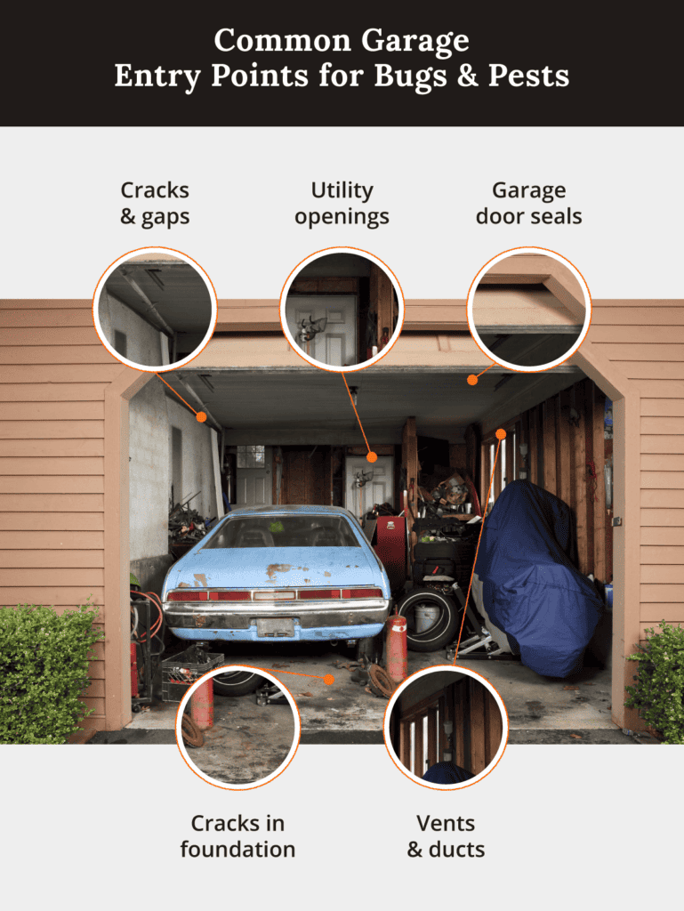 common garage entry points for bugs and pests