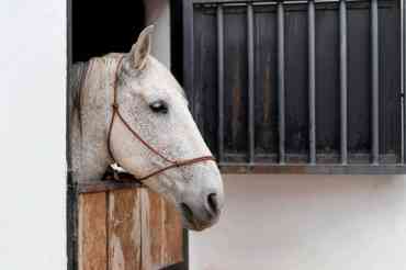 A Checklist For Barn Maintenance