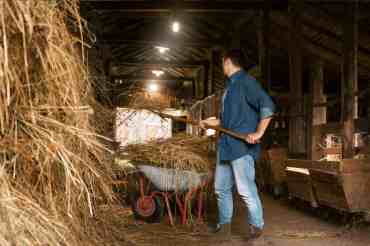 10 Barn Cleaning Tips for 2023