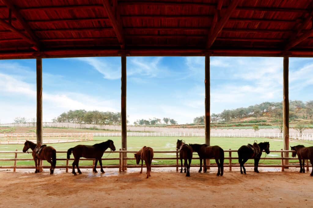 Horses in a covered structure.