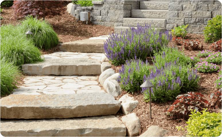 A stone-paved walkway surrounded by grasses and flowering plants.
