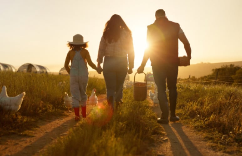 Two adults and a child walking by chickens on a farm trail at sunset.
