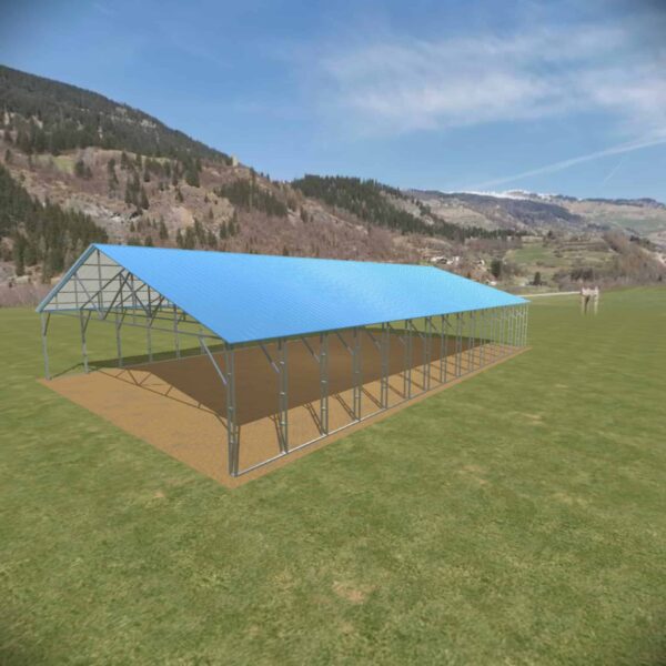 36x60-vertical-roof-carport-