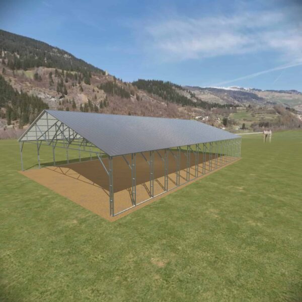 42x60 Vertical Roof Carport - Alan's Factory Outlet