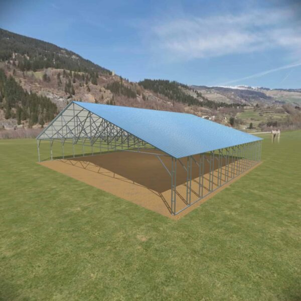 60x56 Vertical Roof Carport - Alan's Factory Outlet