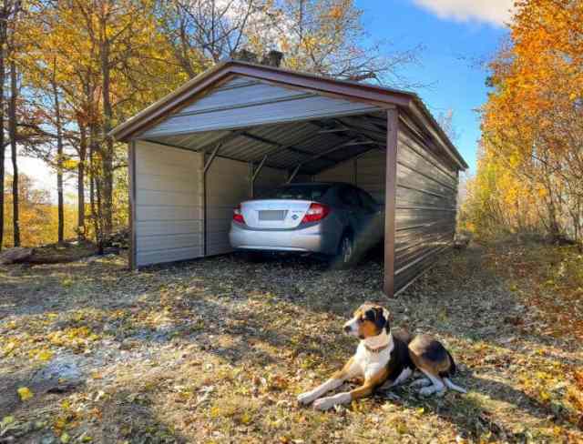 A carport on a grassy ground with a dog sitting in front of it.