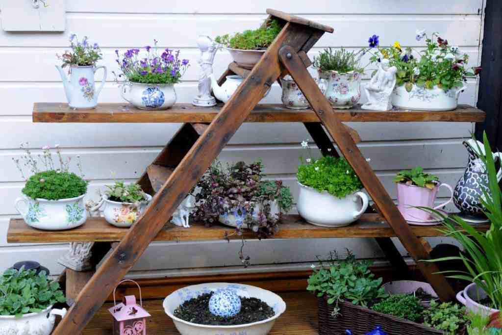 Ladder organizer with plants.