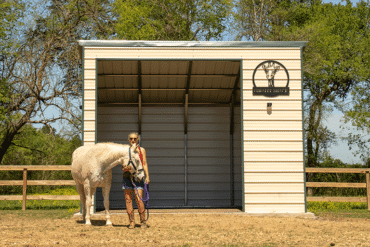Metal Loafing Sheds for Horses and Livestock: Sizes, Prices, and Setup Guide