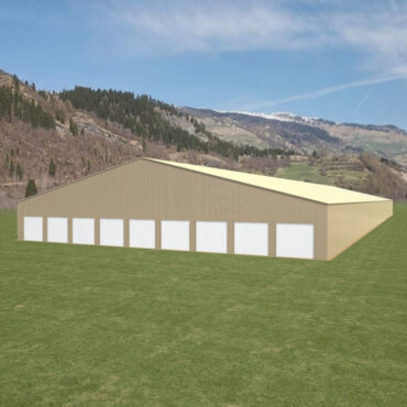 100x300 Metal Building